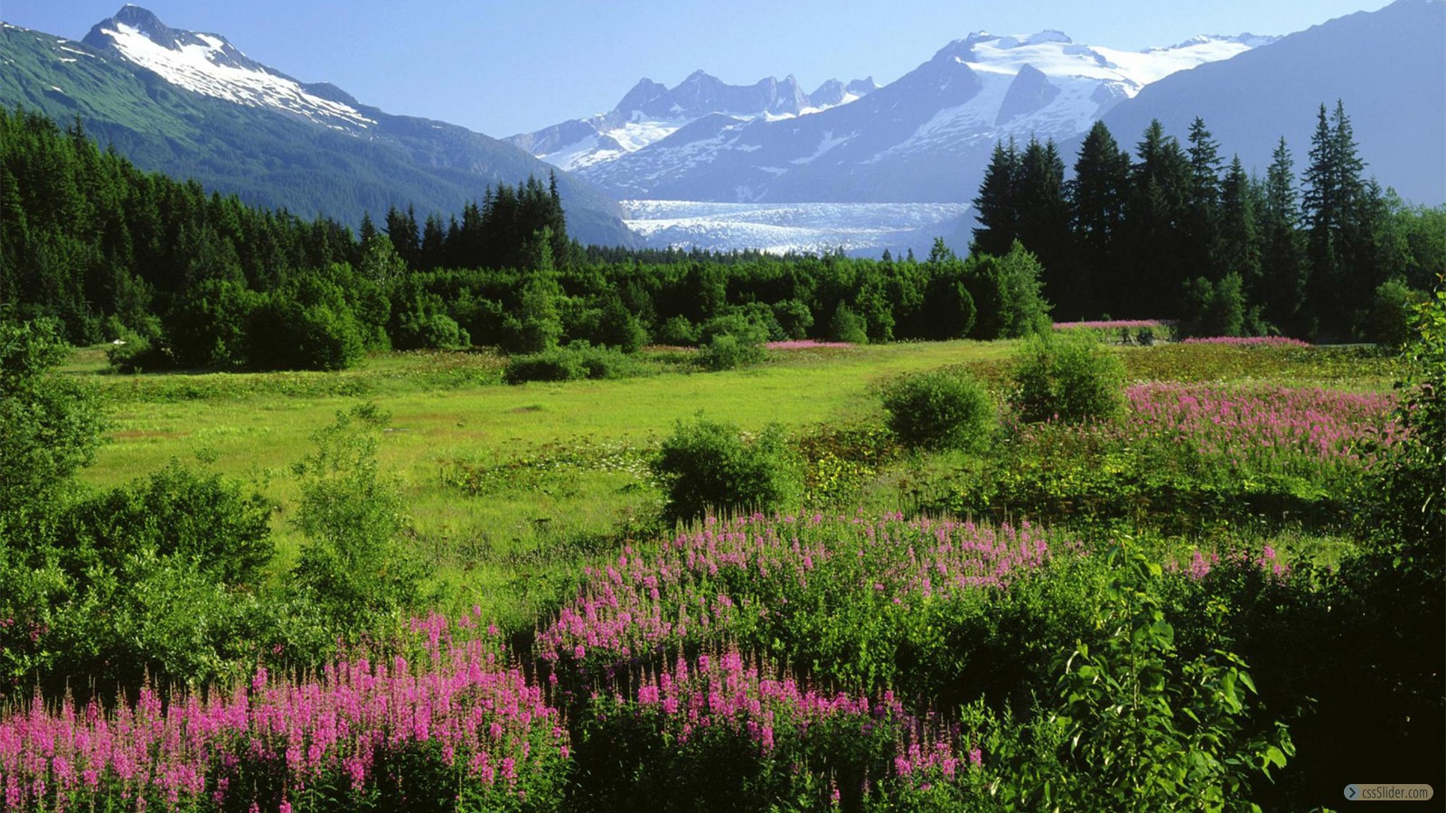 Alaska-Snow-Landscape